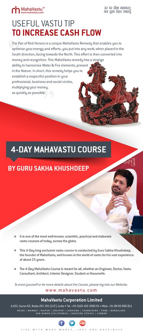 Maximise Cash Flow: How to Increase Cash Flow in Home?   Increase cash flow by placing an effective MahaVastu remedy, a pair of Red Horses, in the South-East zone of your home. Get more  knowledge about Vastu remedies in the upcoming popular 4-Day MahaVastu Course. Vastu Remedies Home, Mahavastu Tips, Mahavastu Remedies, Feng Shui Money Frog, Vastu Remedies, Chinese Interior Design, Vastu House, More Knowledge, Tips For Happy Life