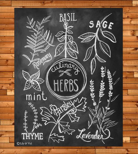 . Chalkboard Art Print, Kebun Herbal, Herbs Illustration, Lily And Val, Kitchen Chalkboard, Driven By Decor, Chalkboard Print, Chalkboard Lettering, Chalk Lettering