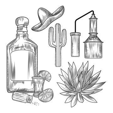 citrus,outline,engrave,illustration,line,drink,ink,sketch,vector,style,traditional,alembic,monochrome,bottle,blue,vintage,white,cactus,wallpaper,lime,slice,glass,shot,design,doodle,element,equipment,tequila,hand,of,silhouette,print,process,sombrero,and,engraved,engraving,copper,black,alcoholic,mexico,retro,salt,collection,alcohol,drawn,set,lemon,cube,drawing,mexican,agave,isolated,texture,beverage Tequila Shot Tattoo, Tequila Tasting, Tequila Bottle, Bottle Tattoo, Bottle Drawing, Tequila Bottles, Hand Painted Clothing, Tequila Shots, Engraving Illustration