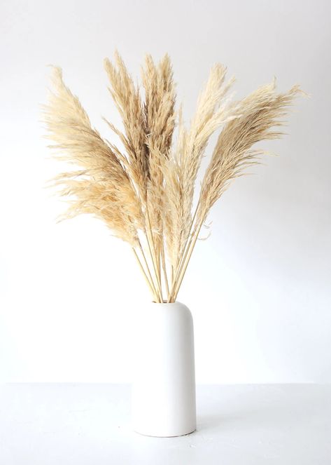 Smooth Pampas Grass in Tan | Shop Dried Grasses at Afloral.com Floor Vase Arrangement, Ideas Decoracion Salon, Floor Vase Decor, Arreglos Ikebana, Boho Styl, Pampas Grass Decor, Silk Flowers Wedding, Vase Arrangements, Wedding Flower Decorations