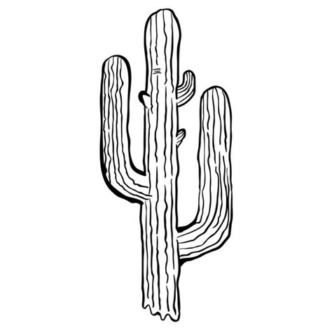 Black And White Cactus, Cactus Cartoon, White Cactus, Cactus Vector, Cactus Tattoo, Cactus Drawing, Flower Clipart, Kids Art Projects, Flower Tattoos