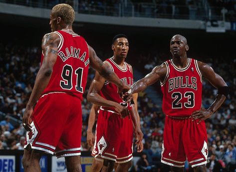 The Chicago Bulls put together an iconic 1995-96 season behind Michael Jordan and Scottie Pippen, producing the NBA’s first 72-win team and taking home the NBA title. Sports Illustrated was there along the way to cover the franchise’s every move, with photos, covers and stories to profile their journey. Here are SI's best photos of the 1995-96 Chicago Bulls. Chigago Bulls, La Lakers Jersey, Chicago Bulls Team, Nike Michael Jordan, Bulls Wallpaper, Michael Jordan Pictures, Michael Jordan Jersey, Michael Jordan Chicago Bulls, Michael Jordan Basketball