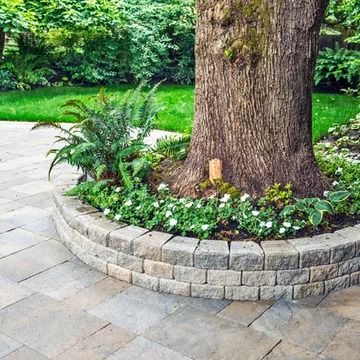 Walk Way Around Tree - Photos & Ideas | Houzz Large Tree Planters, Tree Landscaping Ideas, Tree Landscaping, Landscape Stairs, Slate Patio, Landscaping Around Trees, Flagstone Path, Oregon House, Patio Trees