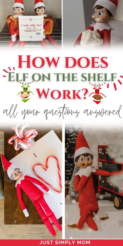 Elf On The Shelf Rules, I Am Cold, Question And Answer, The Elf, On The Shelf, Elf On The Shelf, Christmas Fun, Christmas Time, Cool Kids