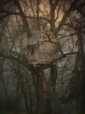 Tree Homes, Interesting Homes, Beautiful Tree Houses, Ham Sandwich, Tree Fort, Cozy Homes, Cozy Cottages, Cool Tree Houses, Scary Places