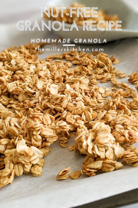 Granola No Nuts Recipe, Homemade Nut Free Granola, No Nut Granola Recipe, Homemade Granola Nut Free, Granola Without Nuts Recipe, Granola Recipe Without Coconut Oil, Granola Recipe No Nuts, Granola Recipe Nut Free, Granola Nut Free