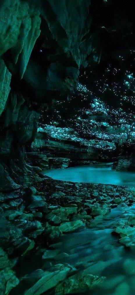 Waitomo Glowworm Caves, Nova Zelândia Underground Cave Aesthetic, Jlauser Inktober, Kingdoms Aesthetic, Dnd Cave, Gem Cave, Cave Aesthetic, Waitomo Glowworm Caves, Water Cave, Active Imagination