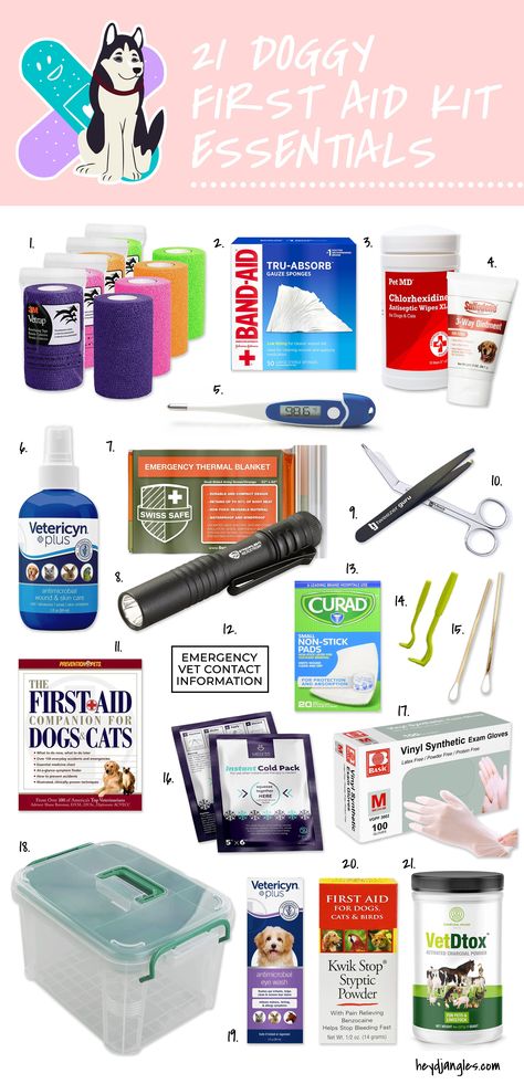 Animal First Aid Kit, Pet First Aid Kit Checklist, Cat First Aid Kit, Pet First Aid Kit Diy, Dog Starter Kit, Dog Emergency Kit, Dog First Aid Kit Diy, Dog Essentials For Car, First Aid Kit For Dogs