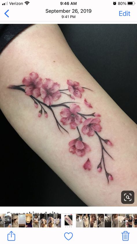 Tattoo Water, Blossom Tattoo, Cherry Blossom Tattoo, Tattoo Feminina, Skin Art, Watercolor Tattoo, Flower Tattoo, Cherry Blossom, Body Art