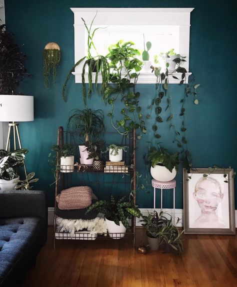 Paint color is Behr verdant forest. I want this to be my dining room color! Perfect emerald green. Room With Lots Of Plants, Color For Room, Gallery Wall Colors, Ocean Abyss, Living Room Decor Tips, Lots Of Plants, Green Accent Walls, Room Wall Colors, Dining Room Remodel