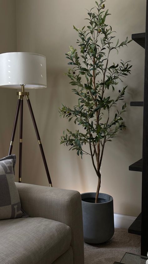 There is a faux olive tree in a contemporary sitting room. The olive tree is 6ft tall and placed in a modern cement planter. Olive Trees In Living Room, Fake Trees In Bedroom, Olive Tree Home Decor, Corner Plant Living Room, Olive Tree Indoor Living Rooms, Artificial Olive Tree Indoor, Living Room Tree Decor, Indoor Plants Decor Living Room Corner, Olive Tree In Living Room