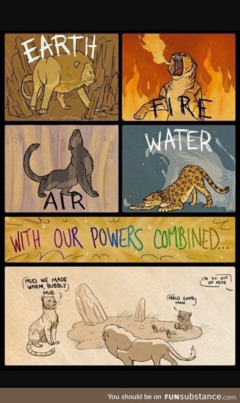 Memes Humor, Warrior Cat, Funny Animal Memes, Animal Jokes, Warrior Cats, Cute Comics, Aang, Really Funny Memes, Memes Funny