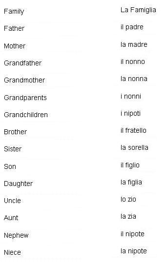 Family names Italian Alphabet, Speaking Italian, How To Speak Italian, Basic Italian, Speak Italian, Learn To Speak Italian, Italian Grammar, Italian Vocabulary, Italian Girl