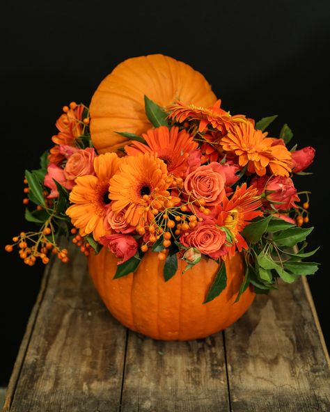 Halloween Flower Arrangements, Pumpkin Floral Arrangements, Holiday Floral Arrangements, Fall Pumpkin Centerpieces, Pumpkin Vase, Pumpkin Arrangements, Halloween Flowers, Fall Flower Arrangements, Fall Floral Arrangements