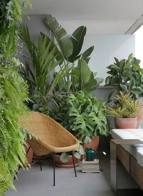 Create a Tropical Garden Oasis in a Balcony With These Ideas Apartment Balcony Garden, نباتات منزلية, Small Balcony Garden, Balkon Design, Small Balcony Design, Balcony Plants, Small Balcony Decor, Plant Decor Indoor, Interior Plants