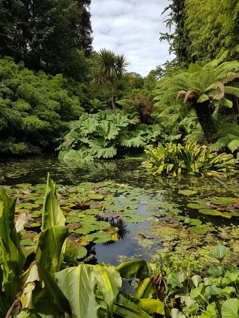 The lost gardens of heligan The Lost Gardens Of Heligan, Lost Gardens Of Heligan, Lost Garden, Famous Gardens, Cornwall, Art Reference Photos, Secret Garden, Palace, Art Reference