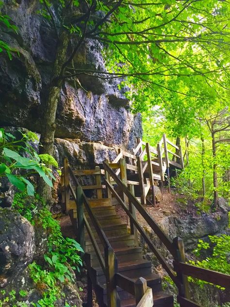 Ha Ha Tonka State Park is one of the most amazing state parks you will find in the Midwest. The park rests on more than 3,700 acres of rough, hilly, Ozark terrain. Ha Ha Tonka is a popular destination for hikers looking to enjoy the 15 miles of pristine hiking trails. The park is easy to navigate with a series of trails and boardwalks. Mainstream Adventures, Ha Ha Tonka State Park, Missouri Vacation, Dogwood Canyon, Arkansas Road Trip, Ha Ha Tonka, Amazing Locations, Branson Vacation, Osage Beach