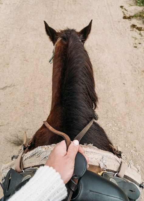 Horseback Riding In Agoura Hills With Malibu Riders Horseback Rider, Horse Trailers, Ventura County, Central Coast, Horse Rider, Horseback Riding, Dog Breeds, Horses, California