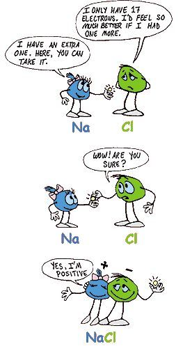 Sodium chloride cartoon. So cute! I'm glad to have this when teaching physical science. الجدول الدوري, Science Cartoons, Chemistry Classroom, Chemistry Education, Chemistry Humor, Chemistry Jokes, High School Chemistry, Atomic Structure, Teaching Chemistry