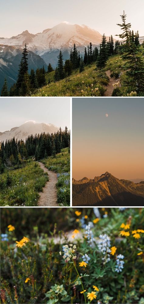 Washington State Spring, Washington State Summer, Best Fall Hikes In Washington, Best Hikes Washington State, Washington State Beaches, Washington State Hikes, Washington Hikes, Create This Book, House Aesthetic