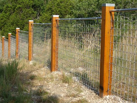 Maybe, you find the fence you currently have is no more fine-looking or it has actually been damaged. However after that, how should the new fencing be? Hog Panel Fencing, Wire Fence Panels, Pagar Modern, Hog Wire Fence, Fence Backyard, Design Fence, Fence Diy, Cattle Panels, Country Fences