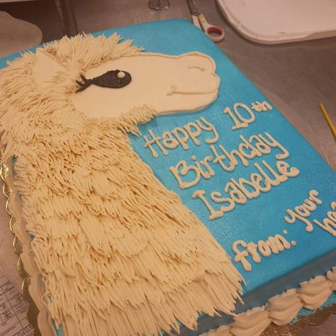 Llama Cake Llama Sheet Cake, Llama Cake Ideas, Lama Birthday Party, Llama Cakes, Cute Birthday Cake Ideas, Hotel Sleepover, Llama Cake, Birthday Llama, Kylie Birthday