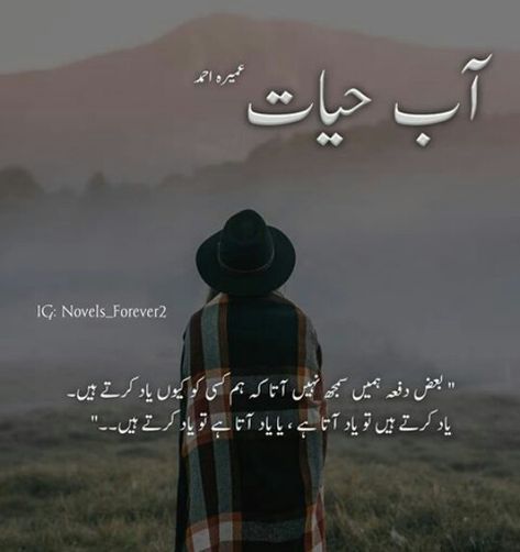 Abe Hayat Novel Quotes In Urdu, Umera Ahmed Quotes Novels, Abe Hayat, Good Manners Quotes, Morals Quotes, Feel Good Books, Novelist Quotes, Novel Quotes, Inpirational Quotes