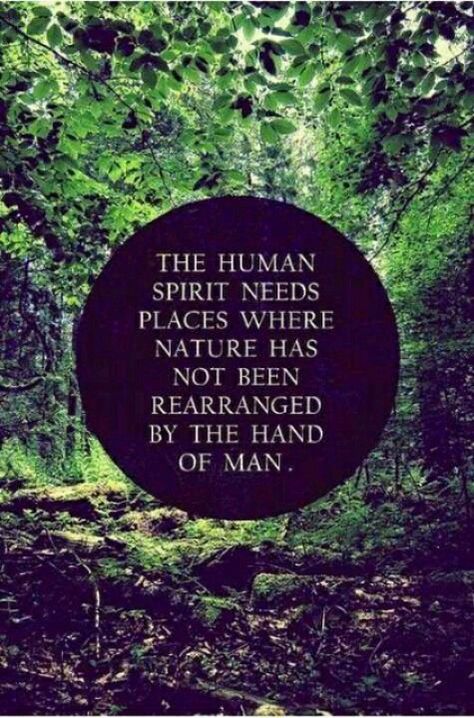 We need nature left untouched Exploring Quotes, Peace And Love Quotes, Mom Room, Citation Nature, Smile Makers, Savannah Cats, Enjoying Nature, Vibe Tribe, Human Spirit