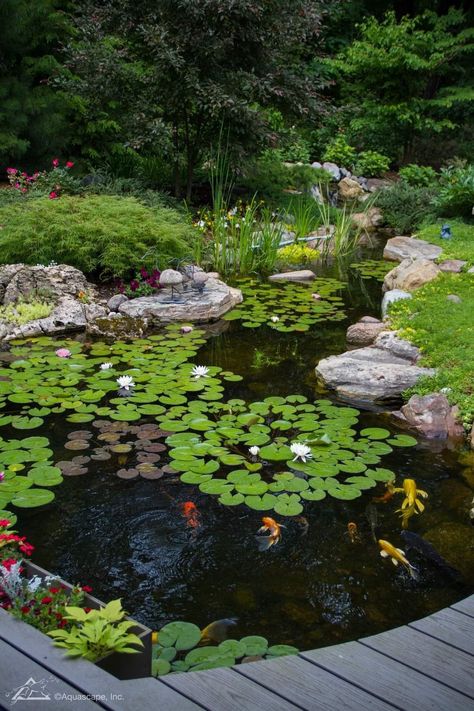 Natural Pond Landscaping, Pond Top View, House With Pond, Large Koi Pond, Man Made Pond, Ecosystem Pond, Small Garden Pond, Koi Pond Ideas, Pond Deck