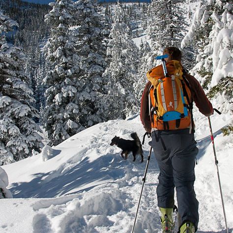 Backcountry Snowboarding, Xc Ski, Ski Bums, Colorado Winter, Backcountry Skiing, Winter Tyres, Downhill Skiing, Snow Fun, Colorado Skiing