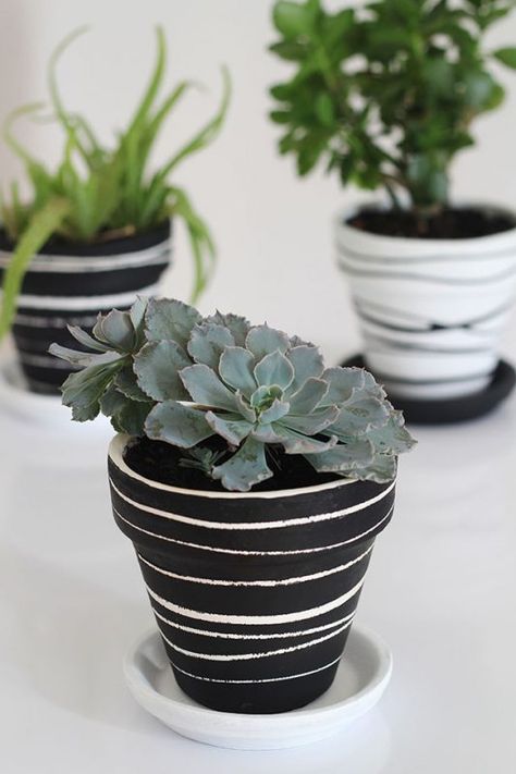 20 Amazing DIY Plant Pots Plant Pot Design, Diy Flores, Plant Pot Diy, Painted Pots Diy, Painted Plant Pots, Painted Clay Pots, Painted Terra Cotta Pots, Flower Pot Crafts, Diy Flower Pots