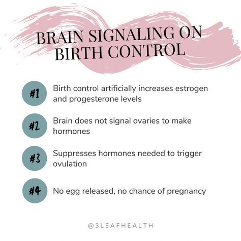 Low Estrogen Symptoms: Signs to Watch for and What Can You Do About It Chances Of Pregnancy, Low Estrogen Symptoms, Hormonal Health, Baking Soda Benefits, 12 Minute Workout, Progesterone Levels, Too Much Estrogen, Tone Thighs, Balance Hormones Naturally