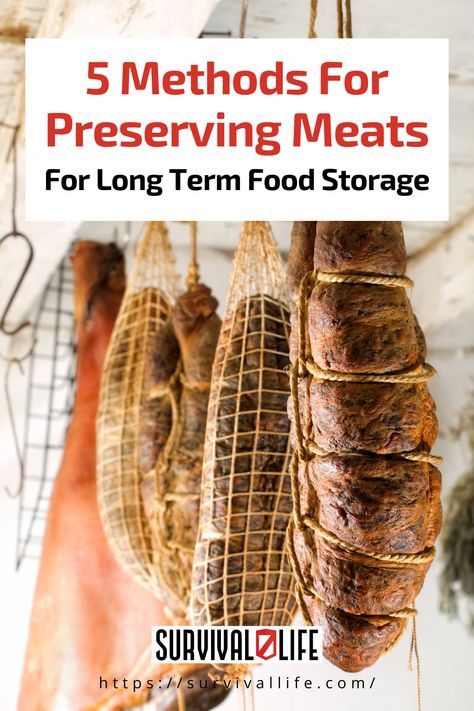 The pandemic showed how helpless Americans can be when food starts running out on the shelves. Be more self-sufficient and prepared to preserve your meat with these long term food storage methods. Storing Food Long Term, Cured Meat Recipes, Things To Learn, Long Term Food Storage, Canned Meat, Cook Smarts, Long Term Storage, Processed Meat, Smoked Food Recipes