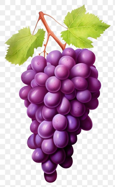 Grapes Images, Fruit Cartoon, Food Fruit, Green Grapes, Fruit Plants, Cartoon Pics, Grapes, Fruit, Plants