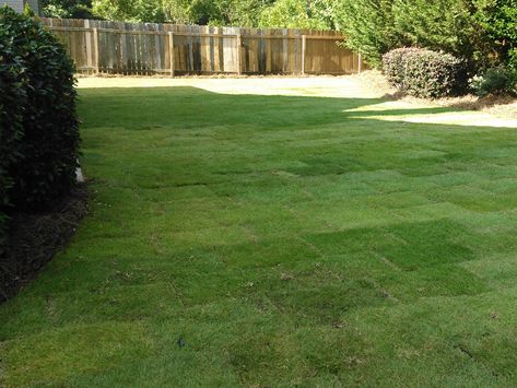 The key to maintaining a #healthylawn after installing sod is to follow proper watering and #mowingtechniques. 💧✂️

Check out our blogs by following the links below for more information on caring for your newly laid sod! 💚👍😁

Call us at (404) 383-7649 to schedule our sod installation service. Yard Cleanup, Sod Installation, Buckhead Atlanta, Healthy Lawn, Wall Seating, Landscape Services, Landscape Projects, Lawn Care, Atlanta Ga