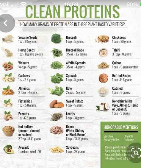 High Protein Foods List, Protein Vegetarian Recipes, Protein Foods List, Food To Gain Muscle, Healthy Weight Gain Foods, High Protein Vegetarian, Protein Meal Plan, Macro Nutrition, Protein Vegetarian