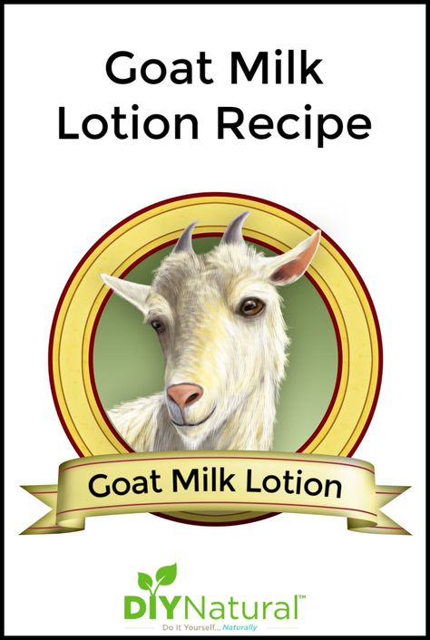 I've had a lot of success making creams but never mastered lotion making, until recently! Now that I have I wanted to make a simple goat milk lotion recipe. Goat Milk Lotion Recipe, Milk Lotion Recipe, Body Lotion Recipes, Lotion Making, Homemade Lotion Recipe, Goat Milk Soap Recipe, Milk Soap Recipe, Goat Milk Lotion, Goat Milk Recipes