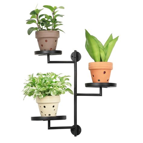 PRICES MAY VARY. 【Window Plant Shelves】: YFFSRJDJ 3-tier window plant shelves feature circular trays for three pots, sized between 4" to 6", The plant stands, crafted from wrought iron, are sturdy, with raised-rim bases to prevent pot falls, The indoor plant stand poles are one-piece, and no assembly is required 【Rotating Plant Stand Indoor】: Our window shelf for plants ingeniously incorporates a rotating design to maximize the exposure of plants to sunlight. This window plant shelf is perfect f Plant Shelves Indoor, Plant Stand Wall, Plant Window Sill, Window Plant Shelves, Window Shelf For Plants, Window Plant Shelf, Gifts For Plant Lovers, Wall Plant Holder, Plant Window