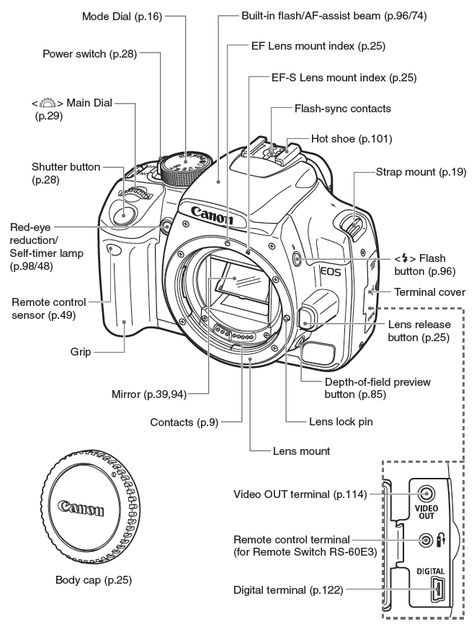 Canon digram Fast Shutter Speed, Photography Cheat Sheets, Photographer Camera, Out Of Focus, Learning Photography, Canon Camera, Depth Of Field, Photography Camera, Photo Tutorial