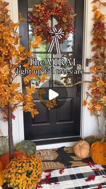 Marissa Lynn Fidler on Instagram: "The tree your front porch is just beggin ya for this season that can be used for BOTH fall and Halloween is in stock and on SALE on Amazon right now! 🍂🎃

FOLLOW 👉🏻 @fidlinaroundhome and comment TREE below and I’ll send you the link directly 🍂🍁

These trees can be used indoors or outdoors, for both fall and Halloween, AND can have the pretty lights on or off! 👏🏻 it also comes in multiple different sizes and heights!

Mine is 6ft, lightweight, easy to assemble, and comes with the lights already on it ✨👌🏼 Put it in a planter or basket and fill with some Spanish moss and you’re good to go!" Fall And Halloween, Spanish Moss, Fall Outdoor, Pretty Lights, Autumn Trees, Fall Thanksgiving, The Pretty, The Tree, Front Porch