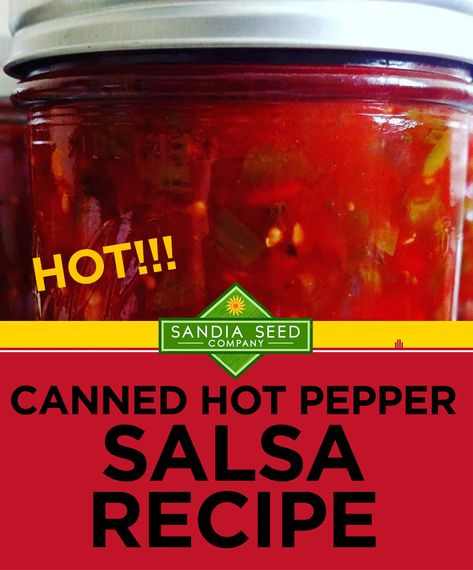 Canned Hot Salsa Recipe, Hot Salsa Recipe Canning, Canned Hot Peppers Recipes, Process Tomatoes, Canned Salsa Recipe, Pepper Salsa Recipe, Peeling Tomatoes, Hot Salsa Recipes, Jalapeno Salsa Recipe