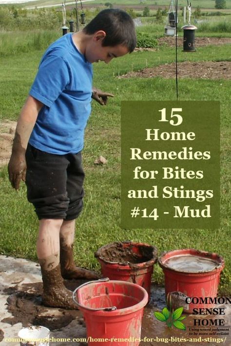 15 Home Remedies for Bug Bites and Stings - use these items from around your home and yard to reduce pain, swelling and itching from bug bites and stings. Bug Bite Swelling, Remedies For Bug Bites, Feet Remedies, Bug Bites Remedies, Water Retention Remedies, Home Remedy For Headache, Headache Relief Instant, Bug Bite, Natural Remedies For Migraines