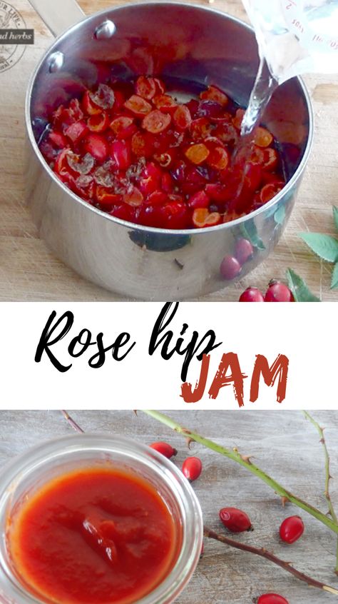 The rose hip jam is packed with vitamins and thanks to its delicious taste and color it can turn ordinary dish into culinary delicacy. Rose hip jam has various uses and is made of three ingredients only.#rosehip jam recipe, #herbal recipes, #real food, #herbal remedies Wild Rose Hip Jelly, Rose Hip Jam, Rosehip Jam Recipe, Rosehip Jam, Rosehip Recipes, Weird Recipes, Kitchen Witches, Wild Recipes, Rose Jam