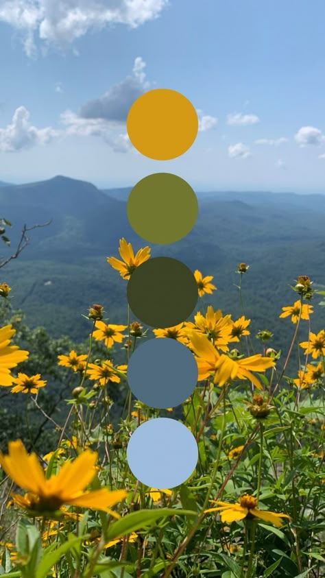 Nature Color Combination, Color Palette With Yellow And Green, Nature Colour Pallet, Colors That Go Well With Yellow, Navy Green Yellow Color Palettes, Olive Green Yellow Color Palette, Brunch Color Palette, Pastel Nature Color Palette, Sunflower Color Scheme