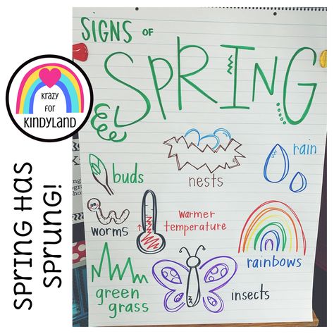 Spring Anchor Chart Kindergarten, First Day Of Spring Activities Kindergarten, Kindergarten May Activities, Spring Anchor Chart, Spring Activities For Kindergarten, Juice Crafts, April Lesson Plans, Chart Presentation, Spring Kindergarten Activities