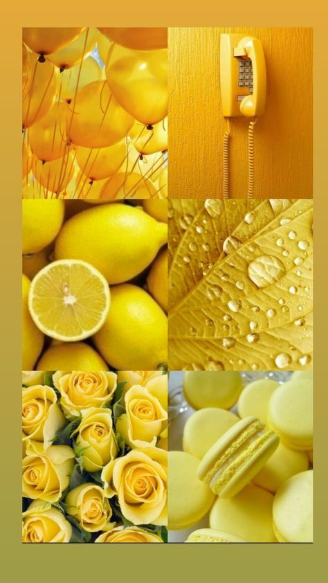 Color Spectrum, Yellow Wallpaper, Yellow Aesthetic, Over The Rainbow, Mellow Yellow, Yellow Color, Favorite Color, Different Colors, Phone Wallpaper