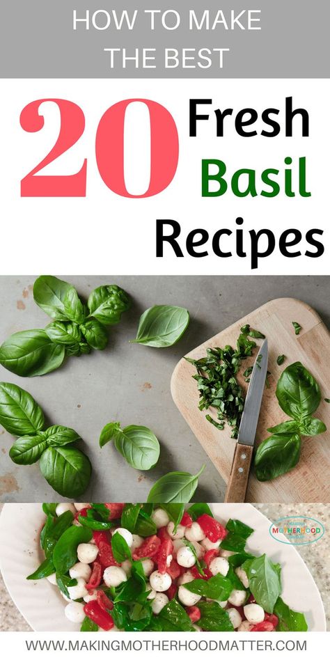 What To Make With Basil, Fresh Thyme Recipes, Recipes With Fresh Basil, Basil Butter Sauce, Pan Fried Cod, Fresh Bruschetta, Fresh Basil Recipes, Chicken Basil, Basil Butter