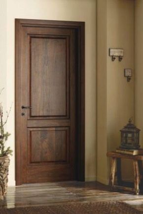 Plain Door Design, Greg House, Cool Interior Design, Entry Door Designs, Door Design Ideas, Cool Interior, Dark Doors, Contemporary Interior Doors, Home Interior Design Ideas