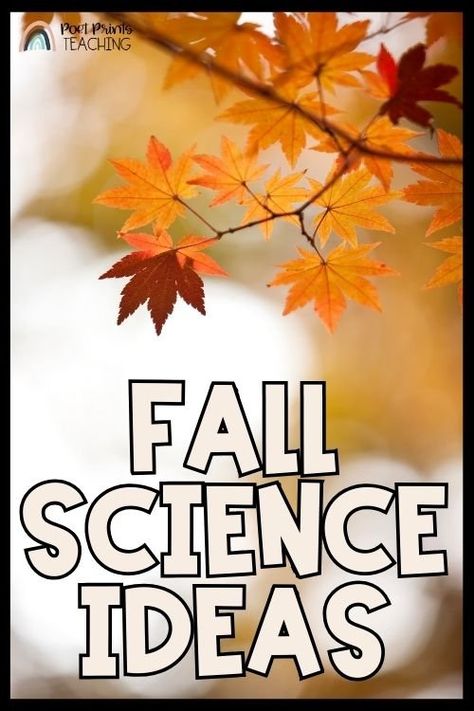 Fall Science Ideas and Activities for 2nd and 3rd Grade — Poet Prints Teaching Thermal Energy Activities, Pollination Activities, Third Grade Science Experiments, Third Grade Science Lessons, Challenges Videos, Leaf Anatomy, Leaves Activities, 3rd Grade Science Experiments, Pollination Activity