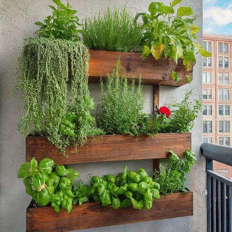 10 Best Small Garden Layout Ideas - DIYCozy: Nails, Decor, DIY, Gardening, Holidays Indoor Small Garden, Vertical Herb Garden Ideas, Herb Garden On Fence, Small Garden Design Ideas Layout, Small Garden Layout Ideas, Small Garden Landscaping, Small Kitchen Garden, Balcony Vegetable Garden, Fast Growing Privacy Shrubs